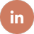LinkedIn Logo