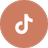 Tiktok Logo